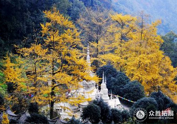 大邑白巖寺-古寺銀杏